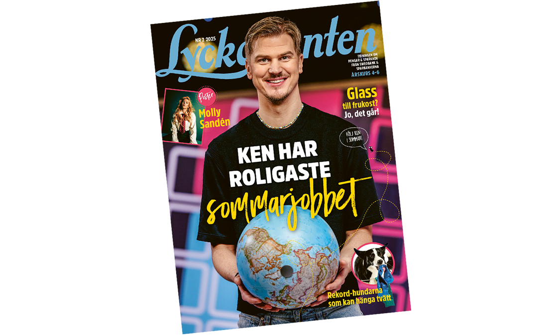 Cover of Lyckoslanten nr 2 2025